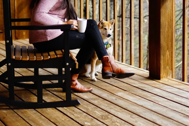 Pet-friendly cabin in Sevierville, TN: what to know