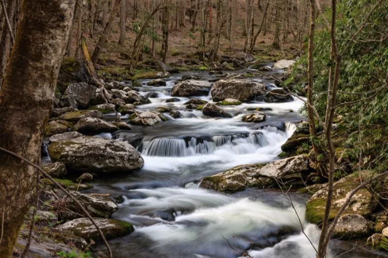 A clear mountain creek cascading over rocks in the Great Smoky Mountains, a natural swimming hole spot