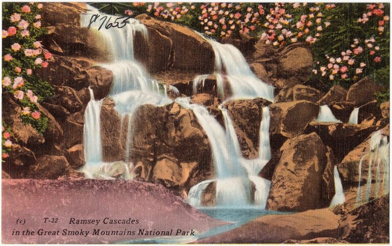 Smoky Mountain waterfall hikes: your summer 2026 guide
