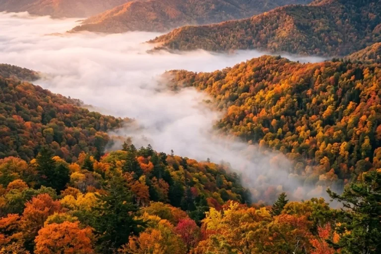 When is leaf season in the Smoky Mountains? 2026 guide