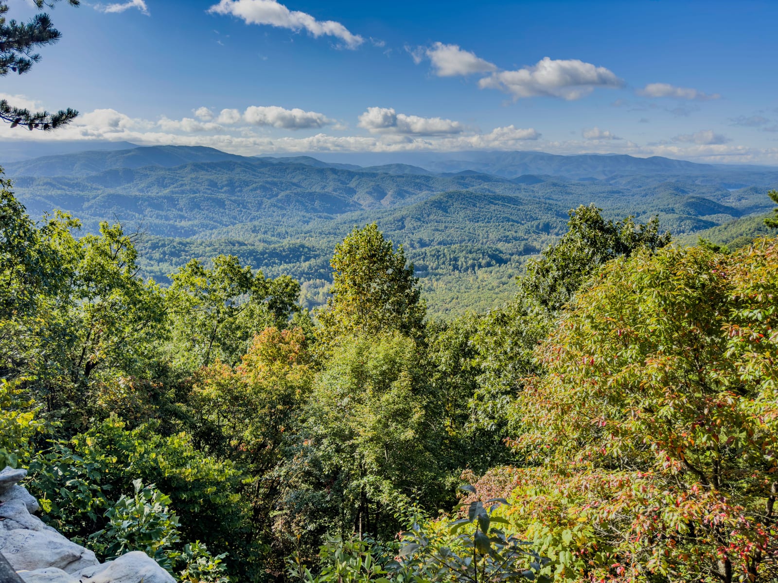 smoky mountains