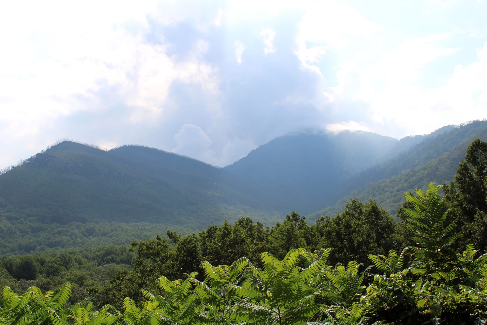 anakeesta mountains