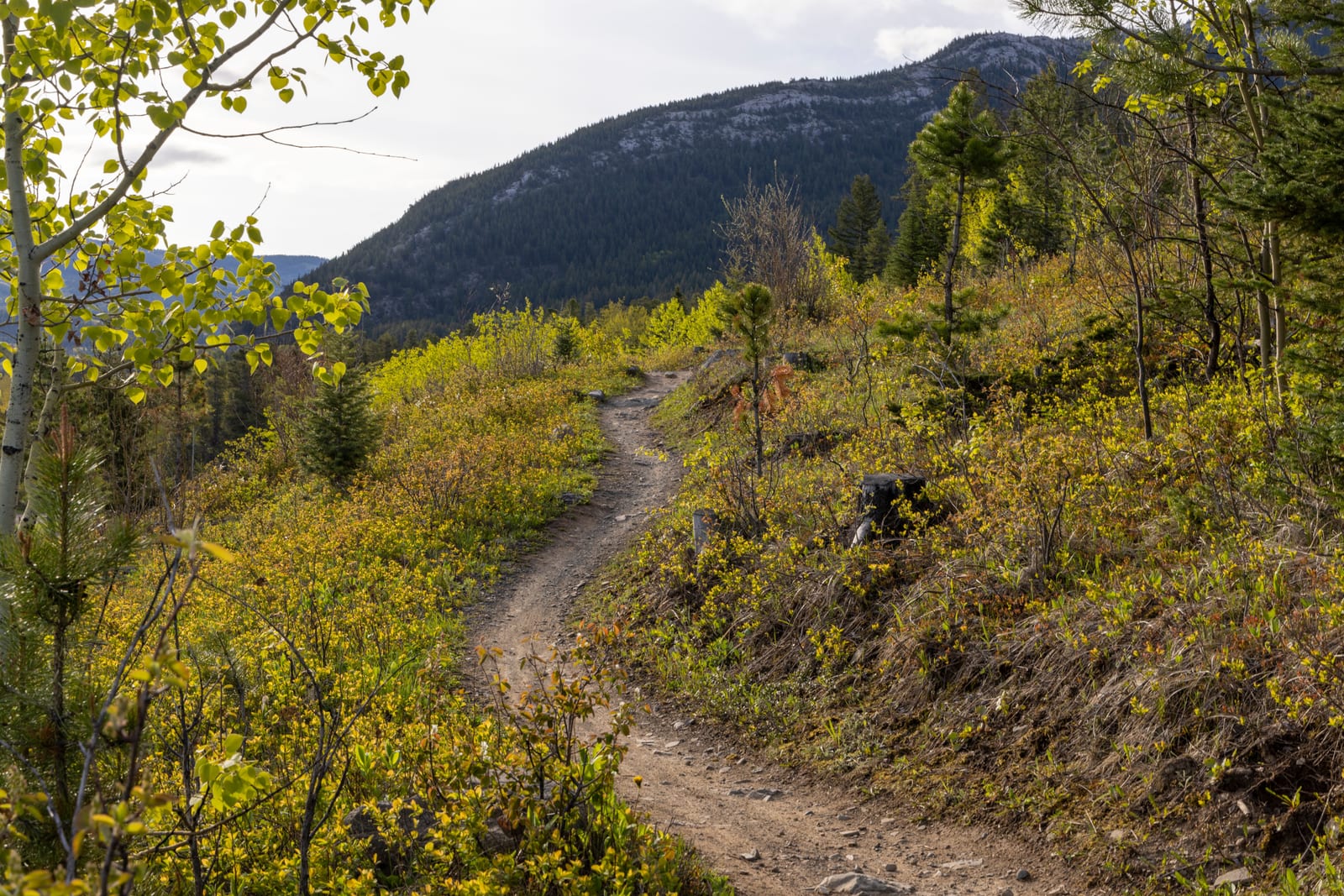 mountain trail
