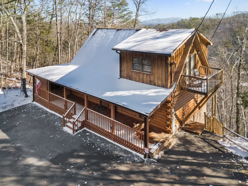 Aerial view of the cabin and wooded hillside