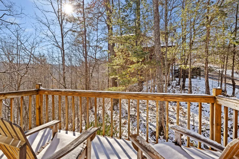 Balcony view into the winter forest
