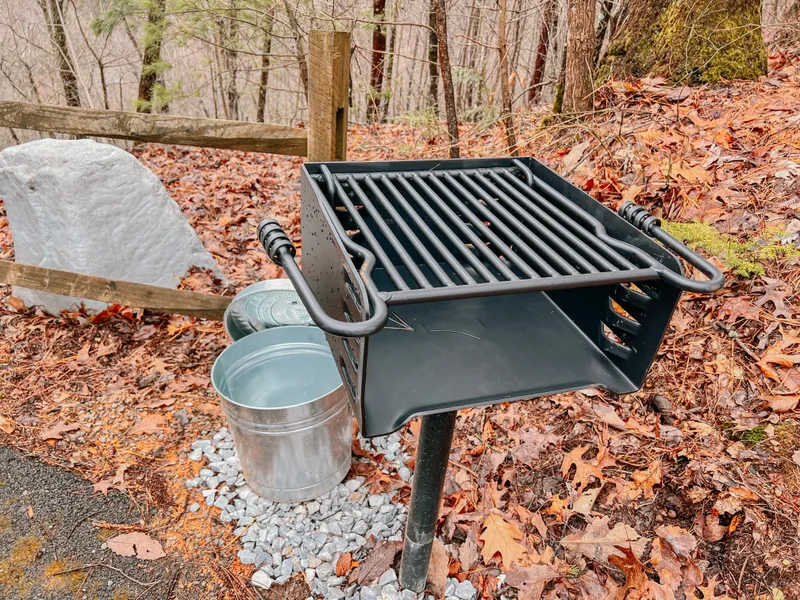 Charcoal grill overlooking the wooded hillside